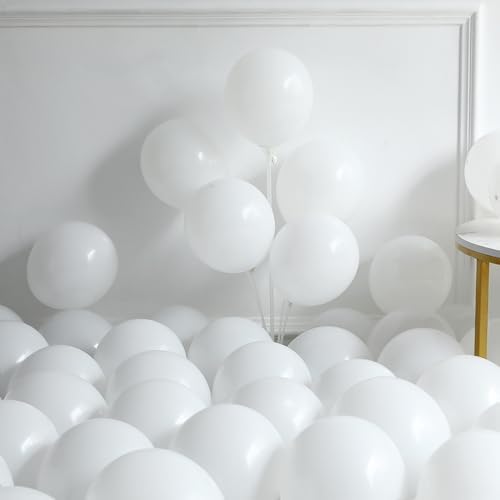 Last Toast On The Coast Balloon Arch Garland Kit