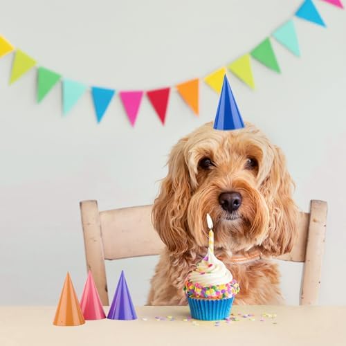 Hooqict 10 PCS Mini Party Hats for Stuffed Animals