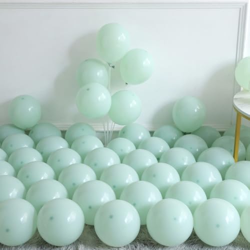 Green and Pink Balloon Garland 134Pcs Tea Party Decor