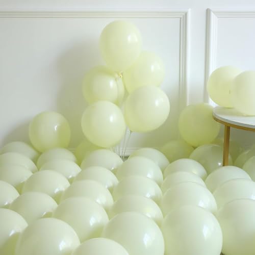 GIHOO Princess Birthday Balloon Decor Kit