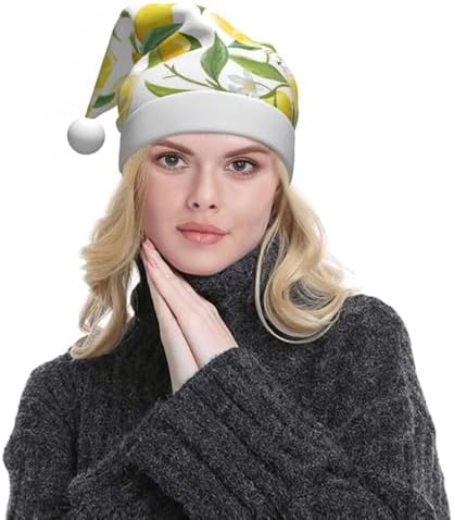QINZHENG Personalized Santa Hat Velvet Plush Christmas Hat for Women
