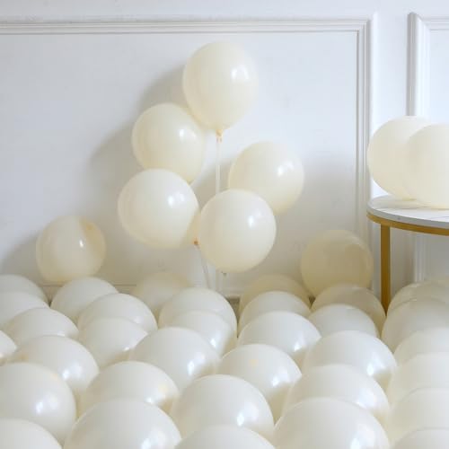 Last Toast On The Coast Balloon Arch Garland Kit