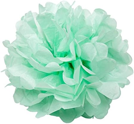 Floral Reef Tissue Pom Pom Variety Set