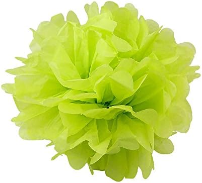 Floral Reef Tissue Pom Pom Variety Set