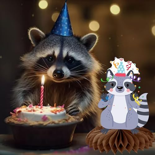 11pcs Raccoon Honeycomb Centerpieces Birthday Decorations