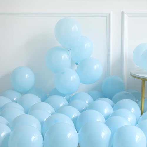 Last Toast On The Coast Balloon Arch Garland Kit