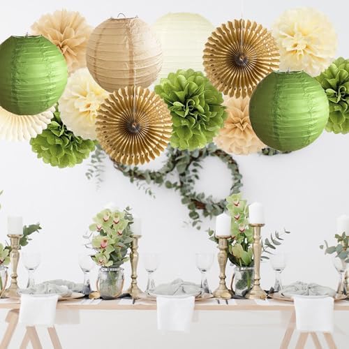 Olive Green Tissue Pom Poms and Paper Lanterns Decor Set