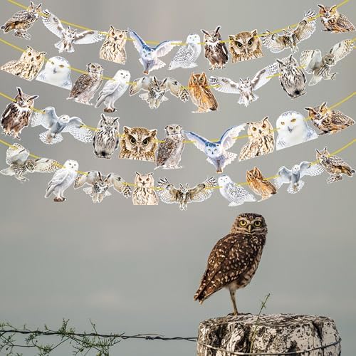 4pcs Owl Theme Banners for Party Decorations