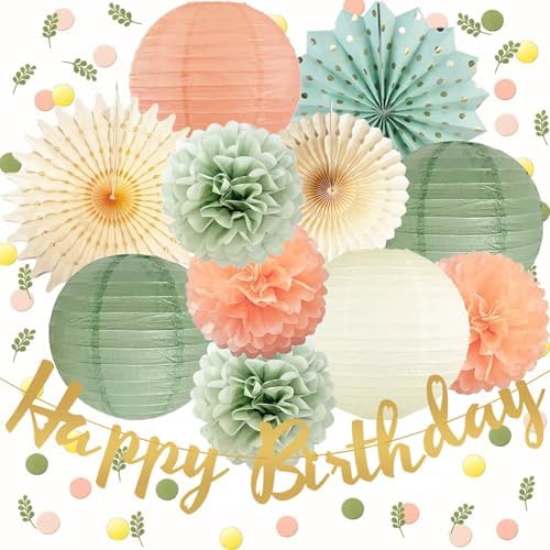Sage Green Birthday Decorations Set 1