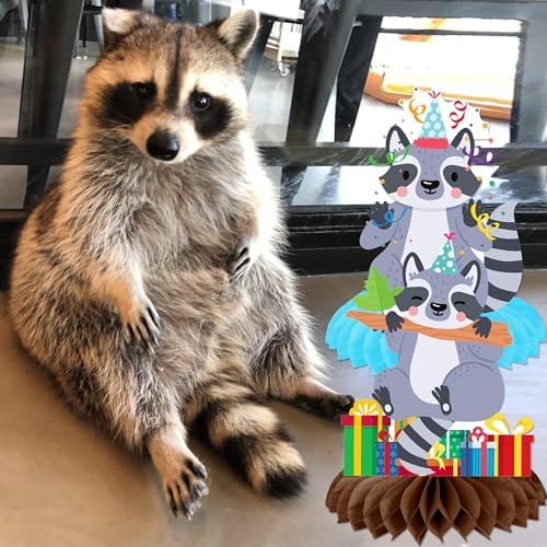 11pcs Raccoon Honeycomb Centerpieces Birthday Decorations