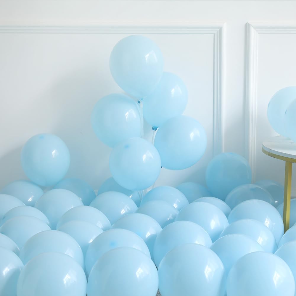 Last Toast On The Coast Balloon Arch Garland Kit