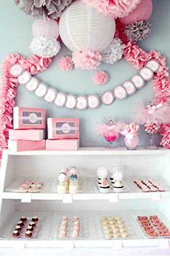 Bella Collection 5 Tissue Paper Pom Pom Set