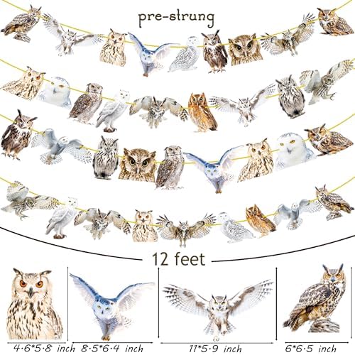 4pcs Owl Theme Banners for Party Decorations