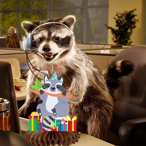 11pcs Raccoon Honeycomb Centerpieces Birthday Decorations