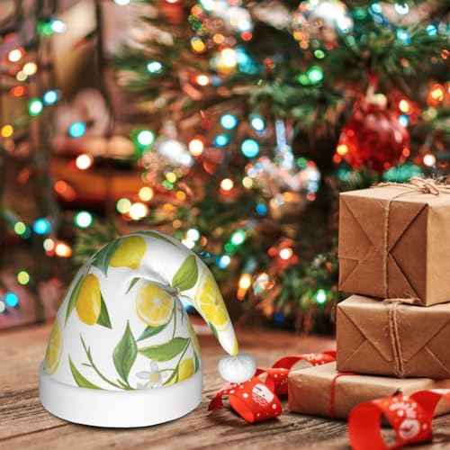 QINZHENG Personalized Santa Hat Velvet Plush Christmas Hat for Women