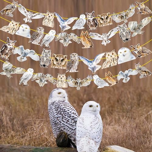 4pcs Owl Theme Banners for Party Decorations