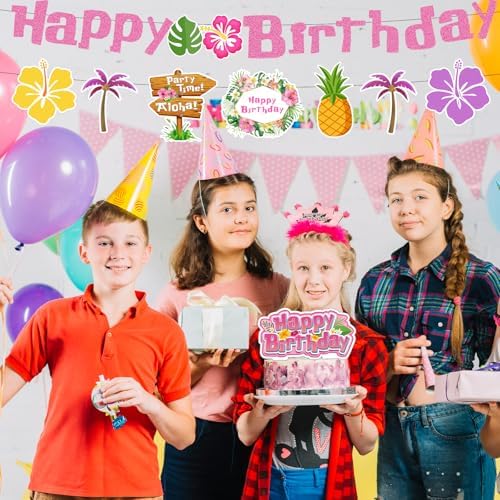 Pink Blue Cartoon Birthday Party Decor Kit