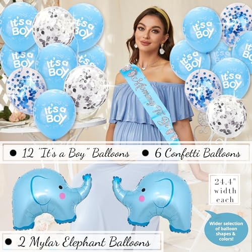 697 Pcs Premium Elephant Baby Shower Decor Set