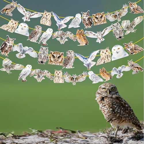 4pcs Owl Theme Banners for Party Decorations