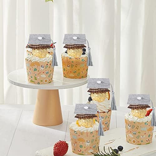 2025 Graduation Cap Cupcake Toppers with Tassel Adhesive Dots Silver