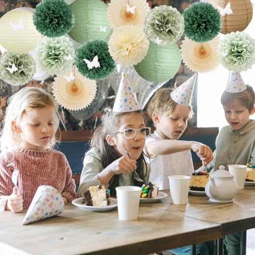 Sage Olive Green Party Decorations Kit