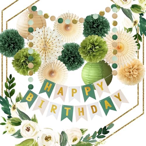 Olive Green Birthday Decorations Set