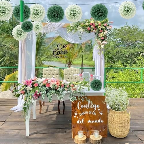 20 Piece Sage Green Tissue Paper Pom Poms Decorations