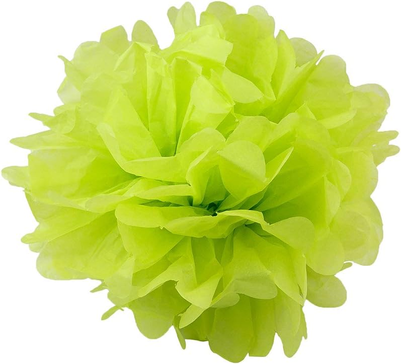 Floral Reef Tissue Pom Pom Variety Set