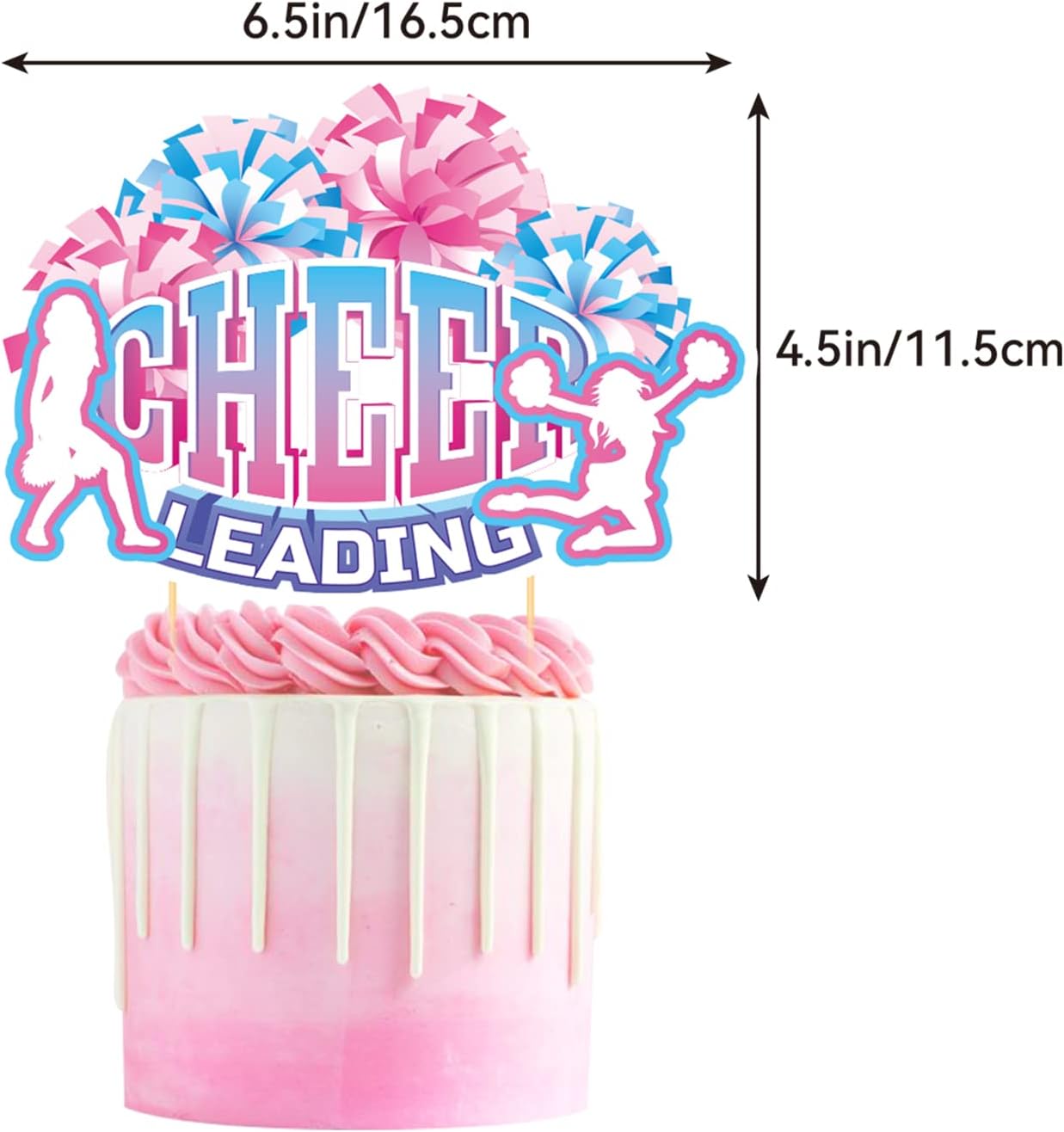 Cheerleading Birthday Party Decorations Set
