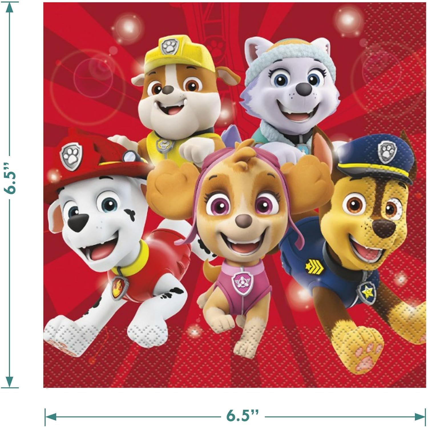 HOME HOOPLA Paw-Patrol Party Plates