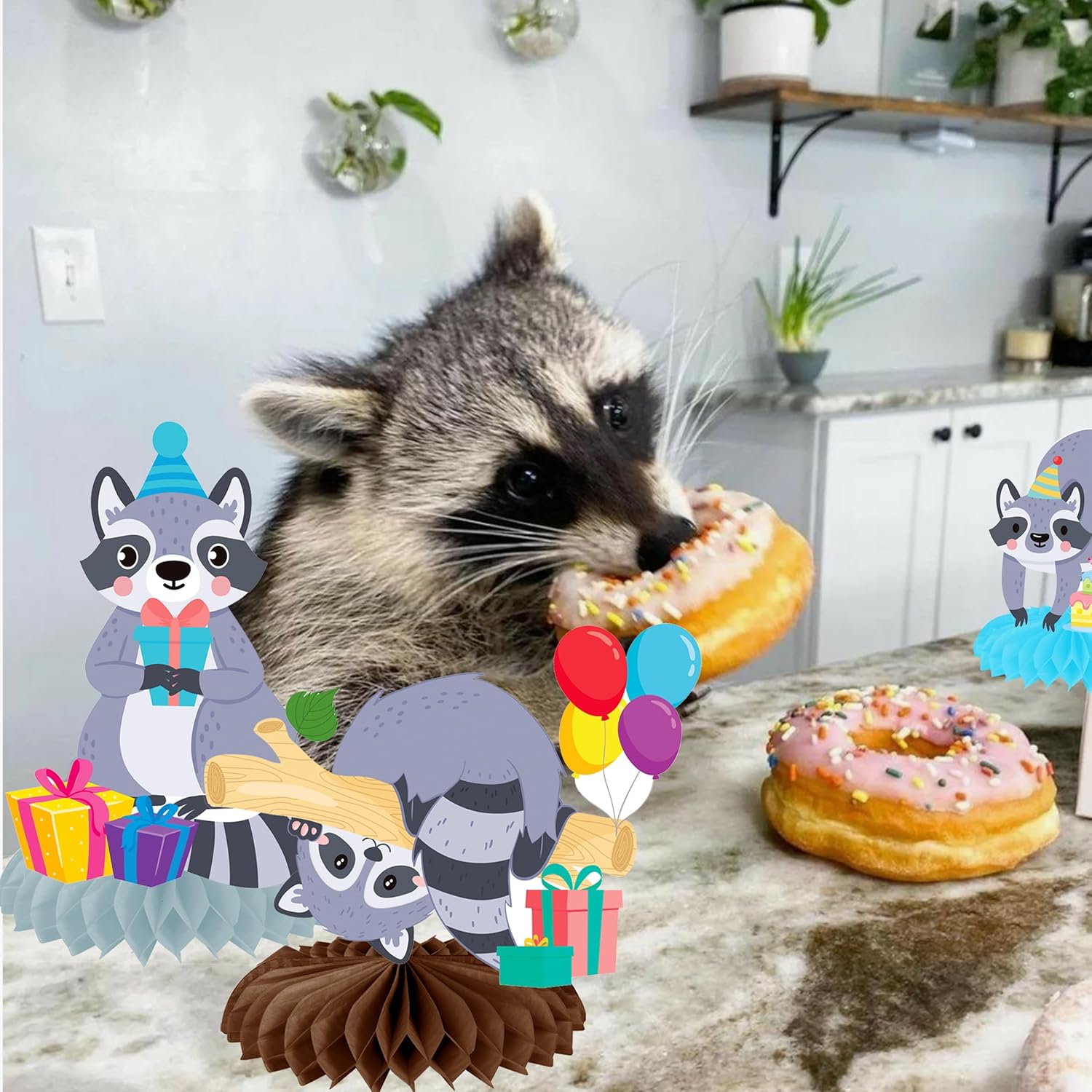 11pcs Raccoon Honeycomb Centerpieces Birthday Decorations