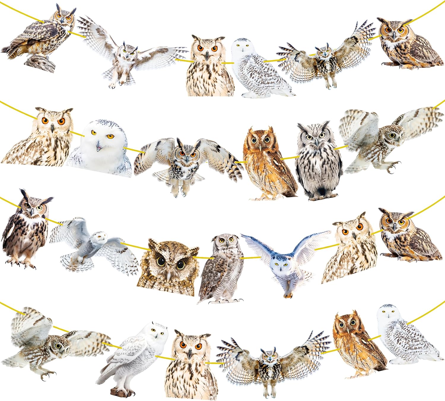 4pcs Owl Theme Banners for Party Decorations