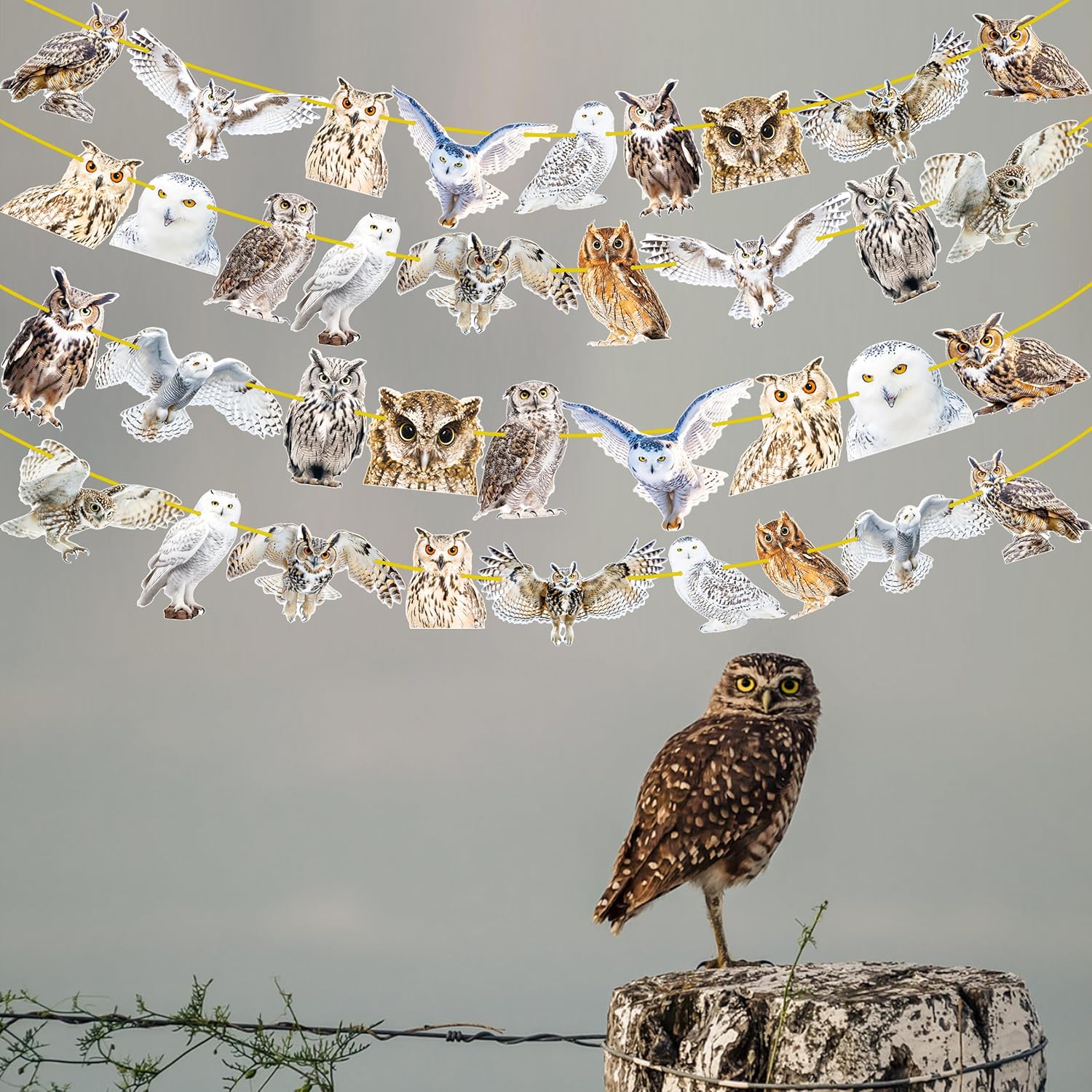 4pcs Owl Theme Banners for Party Decorations