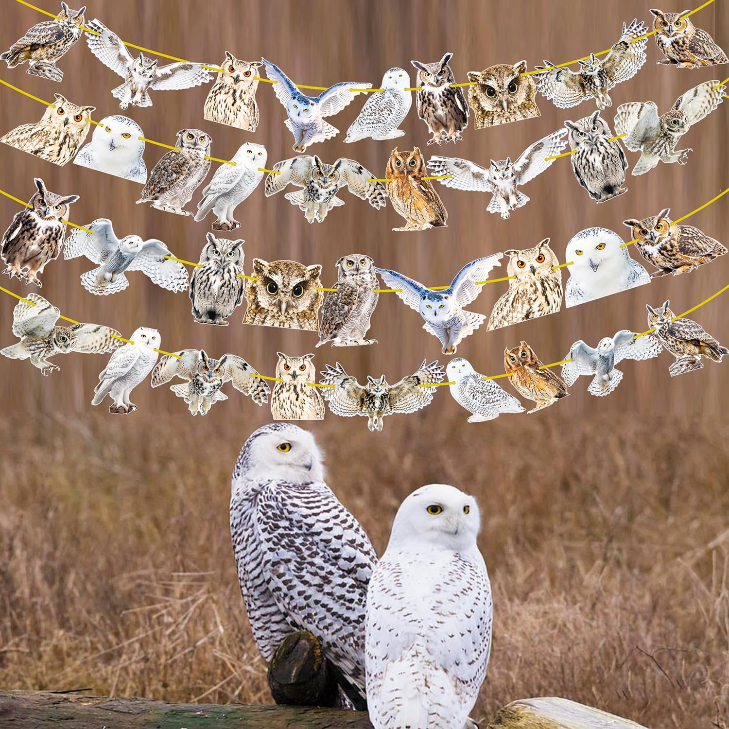4pcs Owl Theme Banners for Party Decorations