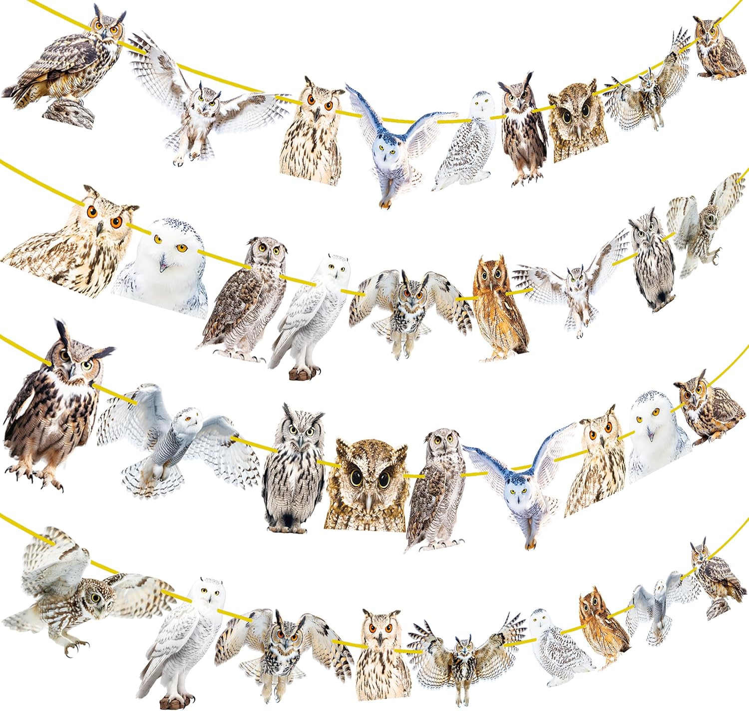 4pcs Owl Theme Banners for Party Decorations